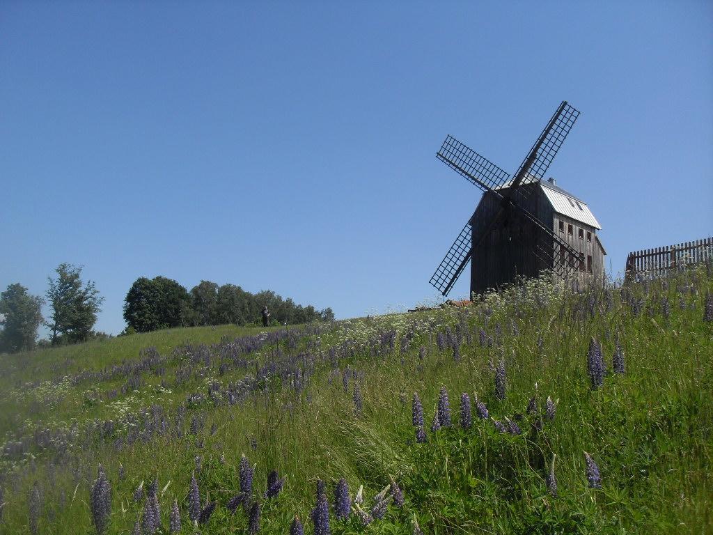 Wiatrak Villa Reboszewo Buitenkant foto